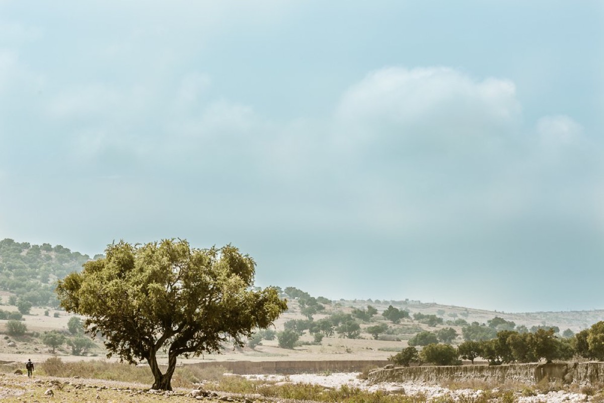 Alone in Babylone — Arts, Stéphane Louesdon — photo 4