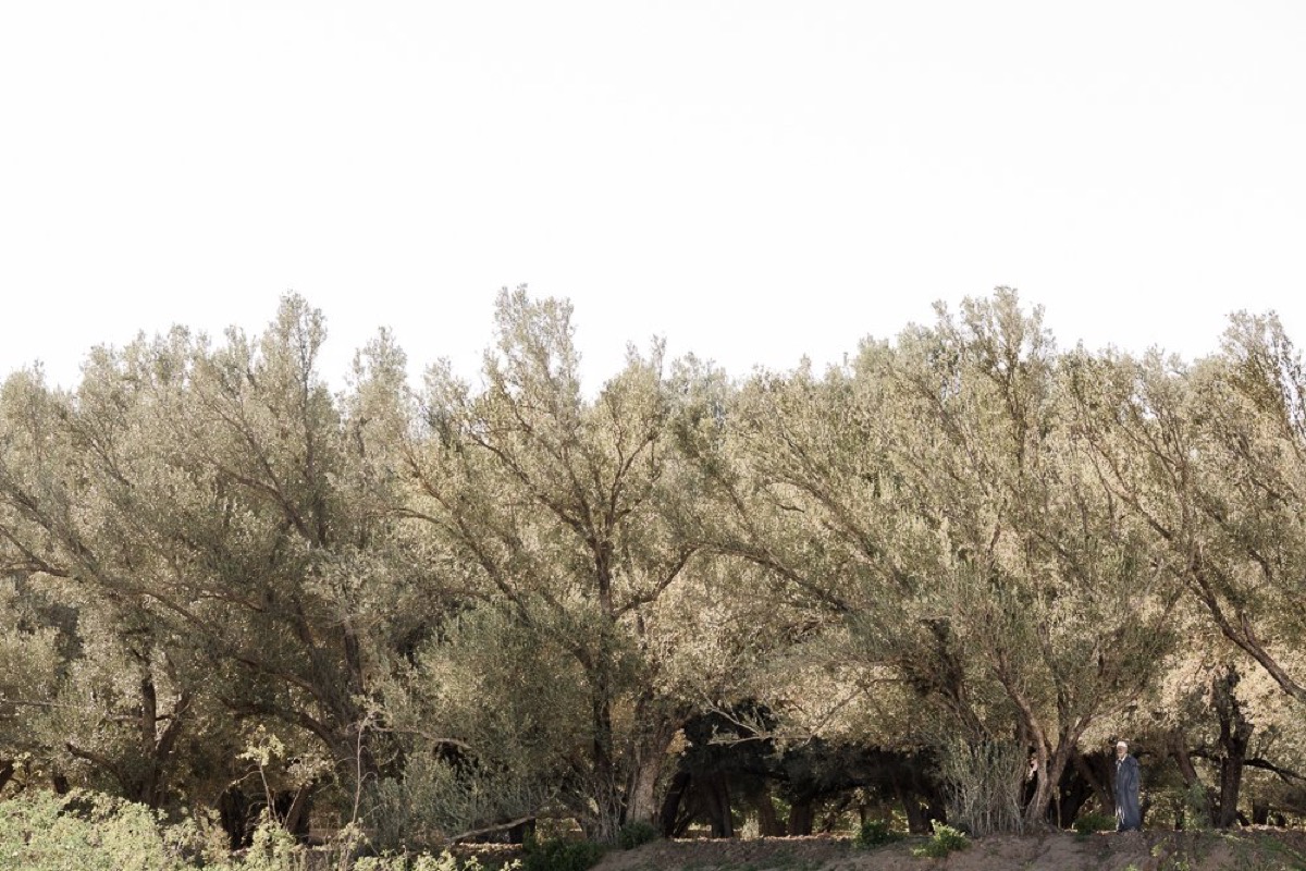 Alone in Babylone — Arts, Stéphane Louesdon — photo 7