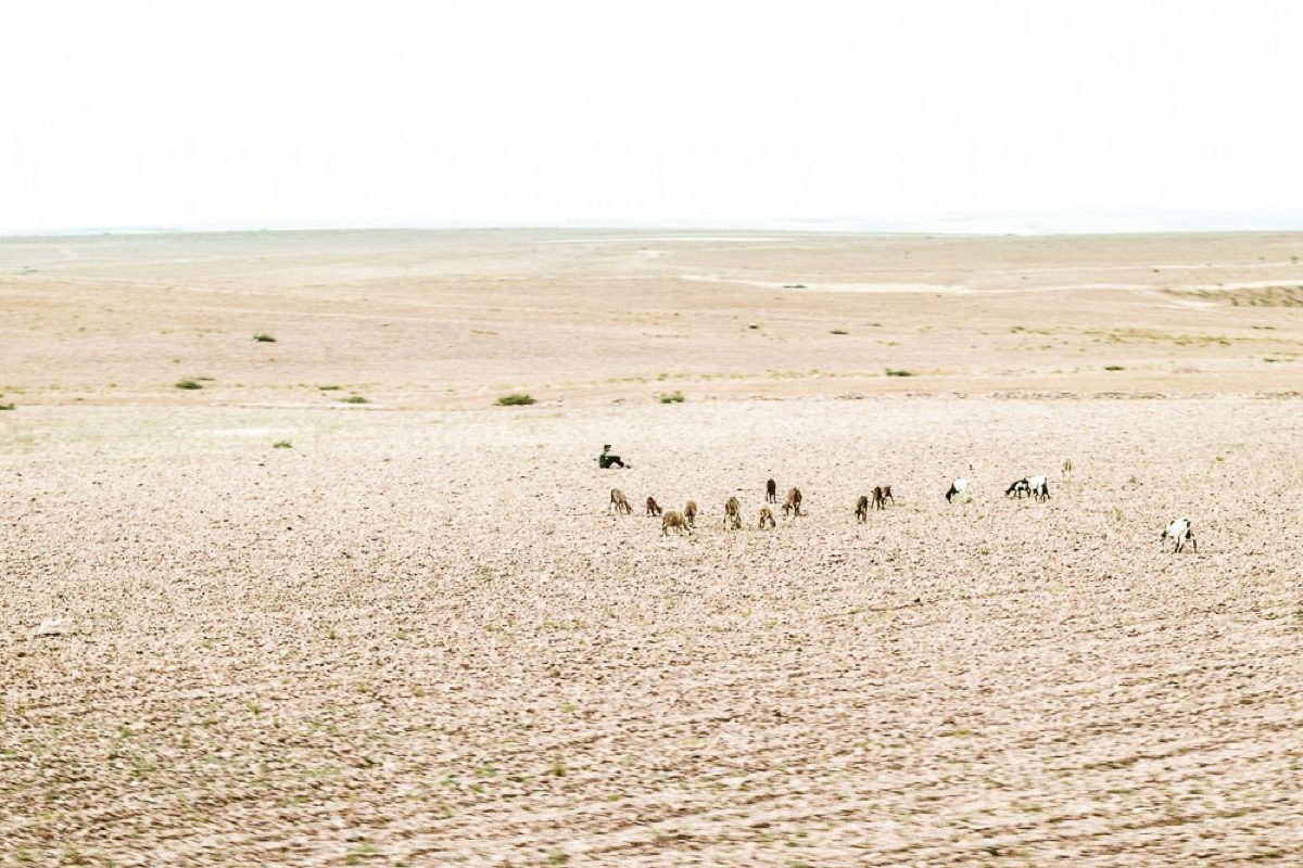 Alone in Babylone — Arts, Stéphane Louesdon — photo 9