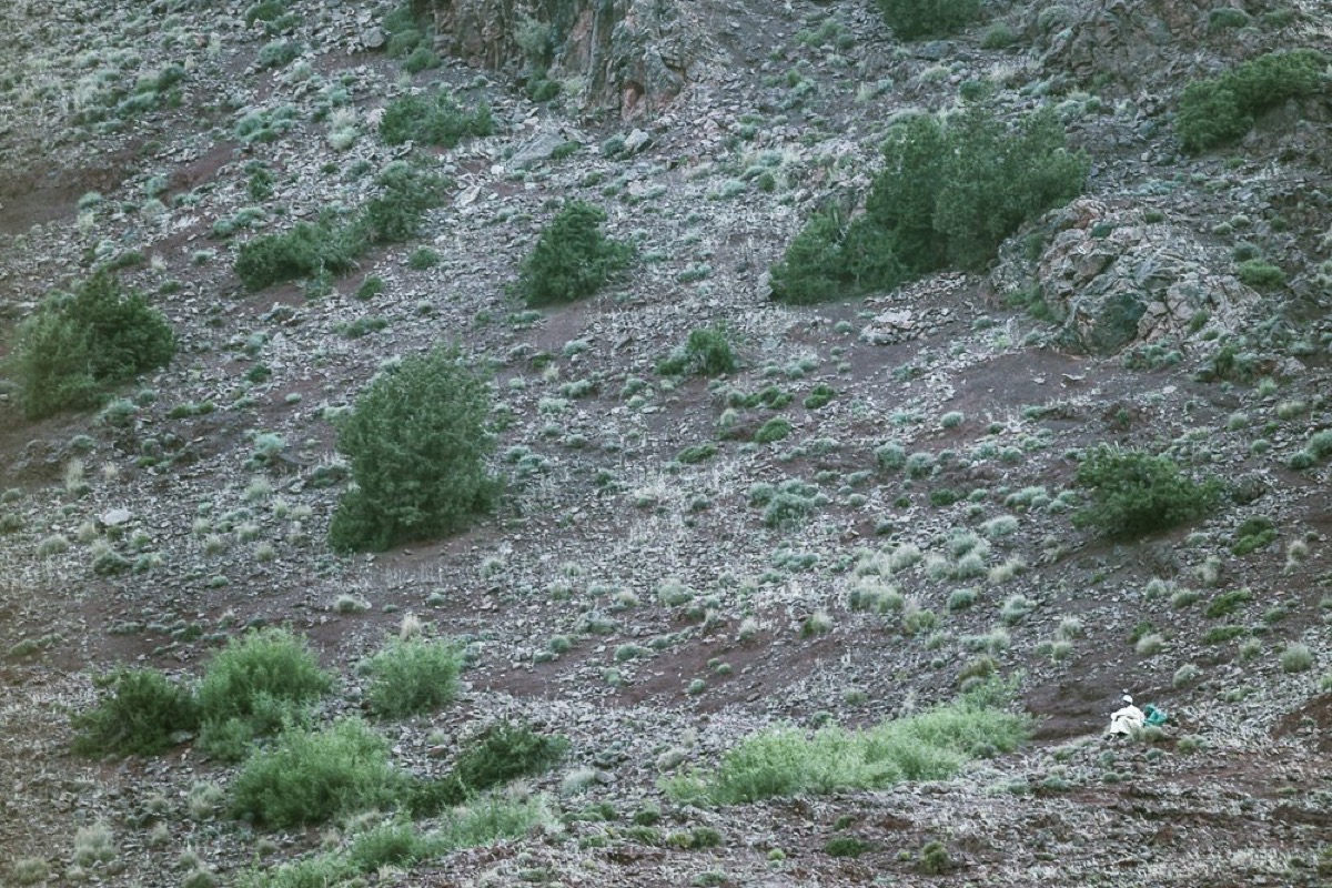 Alone in Babylone — Arts, Stéphane Louesdon — photo 10