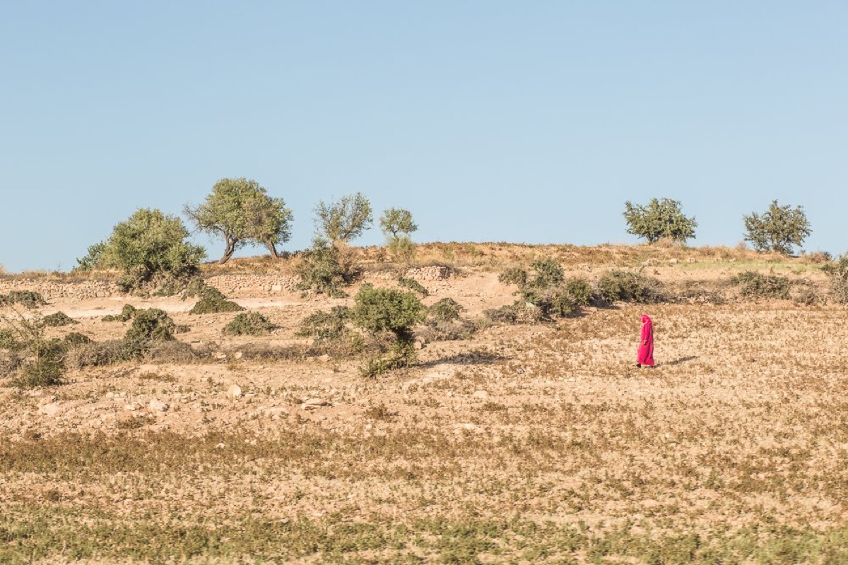 Alone in Babylone — Arts, Stéphane Louesdon — photo 15
