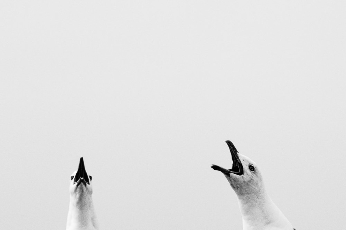 Strange Days — Arts, Stéphane Louesdon — photo 9
