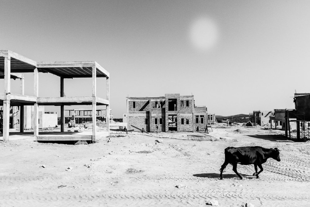 Strange Days — Arts, Stéphane Louesdon — photo 12