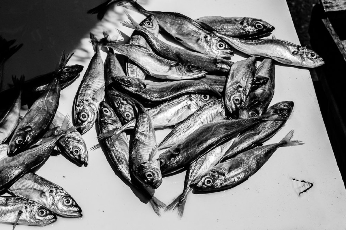 Strange Days — Arts, Stéphane Louesdon — photo 16