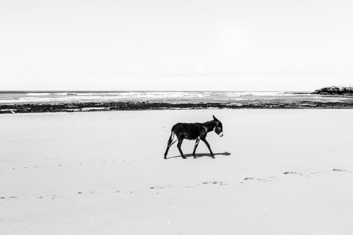 Strange Days — Arts, Stéphane Louesdon — photo 18