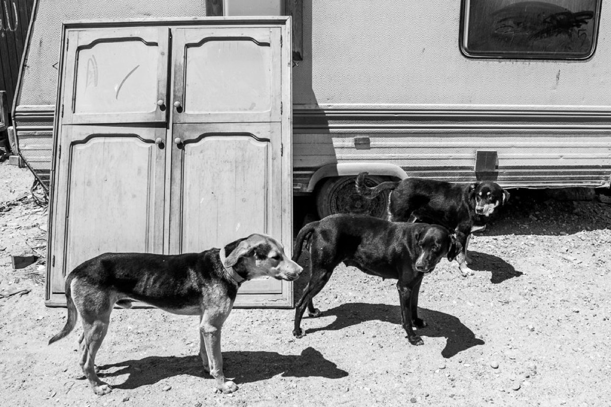 Strange Days — Arts, Stéphane Louesdon — photo 20