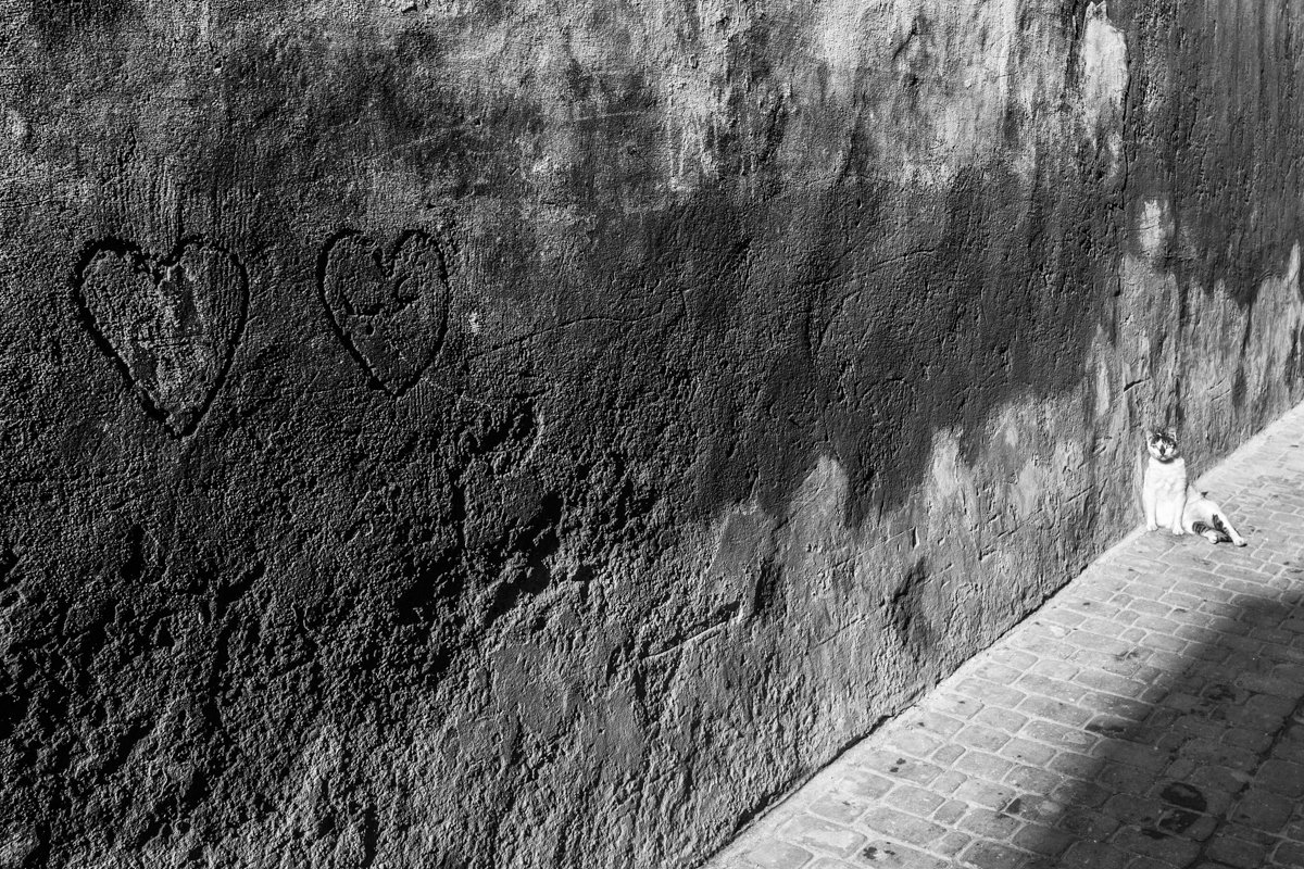 Strange Days — Arts, Stéphane Louesdon — photo 28
