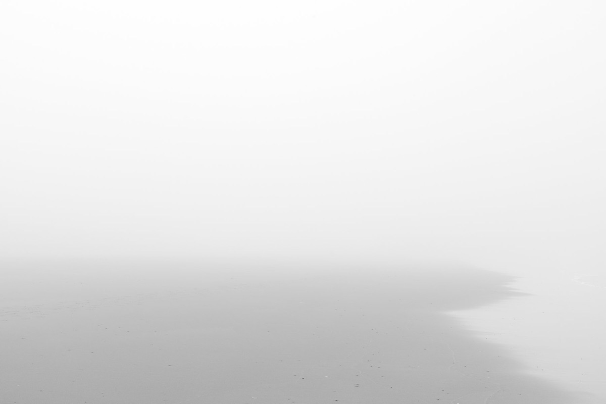 White Shadows — Arts, Stéphane Louesdon — photo 5