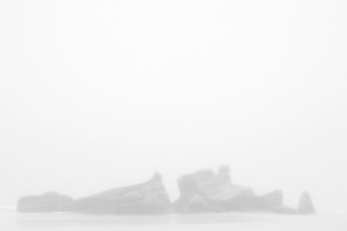 White Shadows — Arts, Stéphane Louesdon — photo 7
