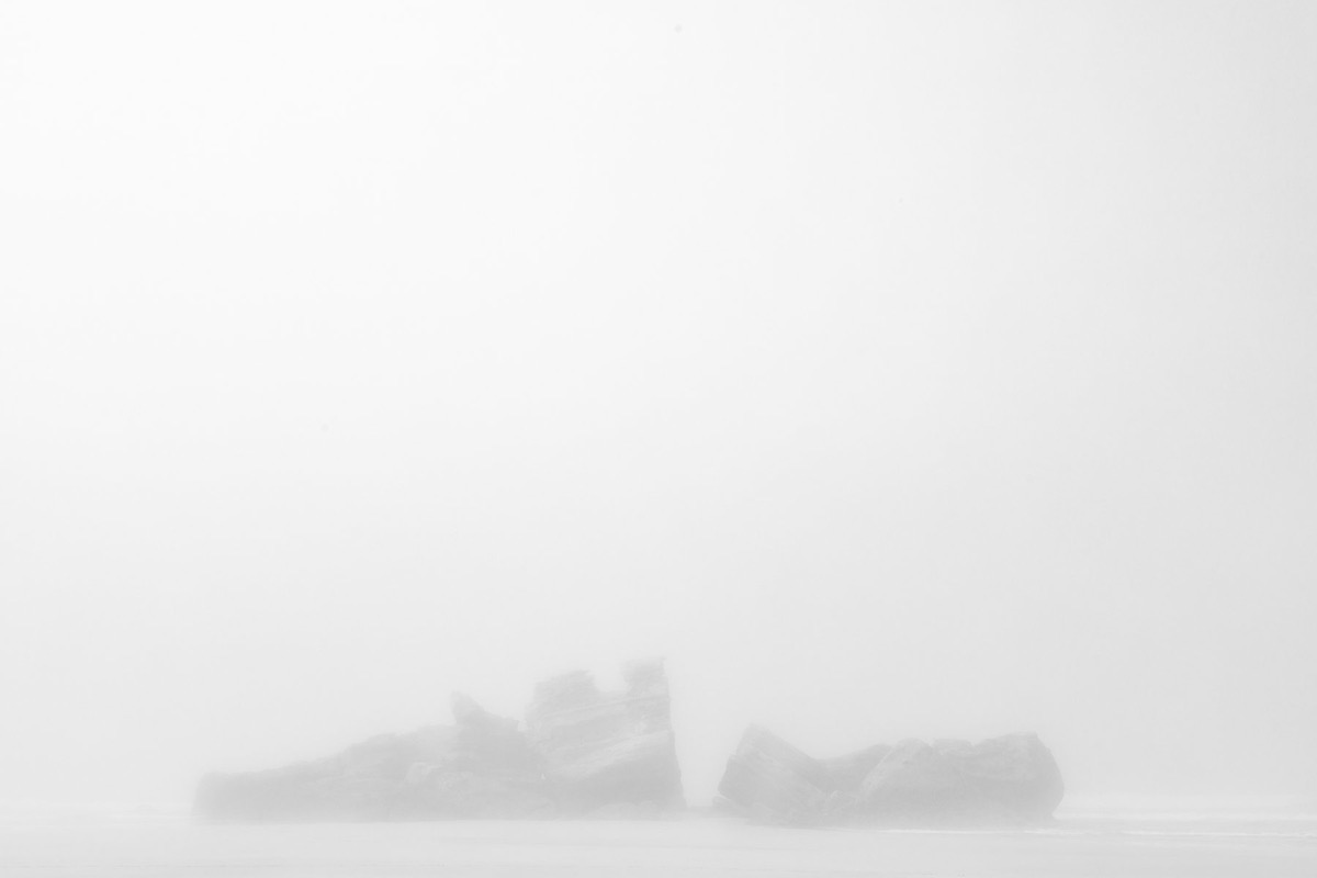 White Shadows — Arts, Stéphane Louesdon — photo 8