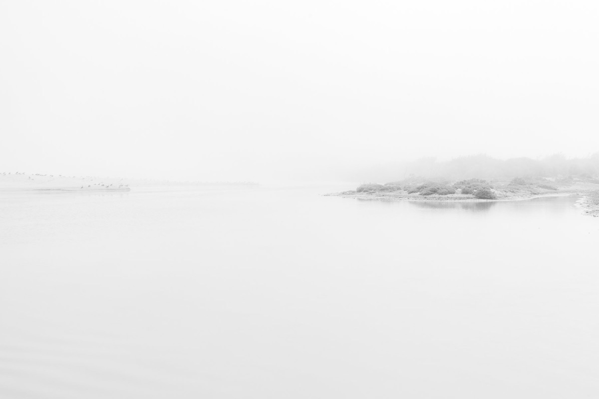 White Shadows — Arts, Stéphane Louesdon — photo 10