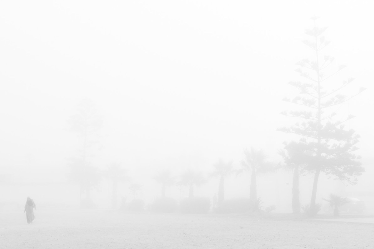 White Shadows — Arts, Stéphane Louesdon — photo 12