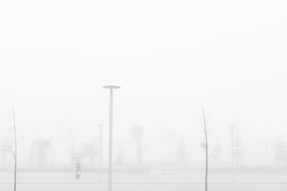 White Shadows — Arts, Stéphane Louesdon — photo 13
