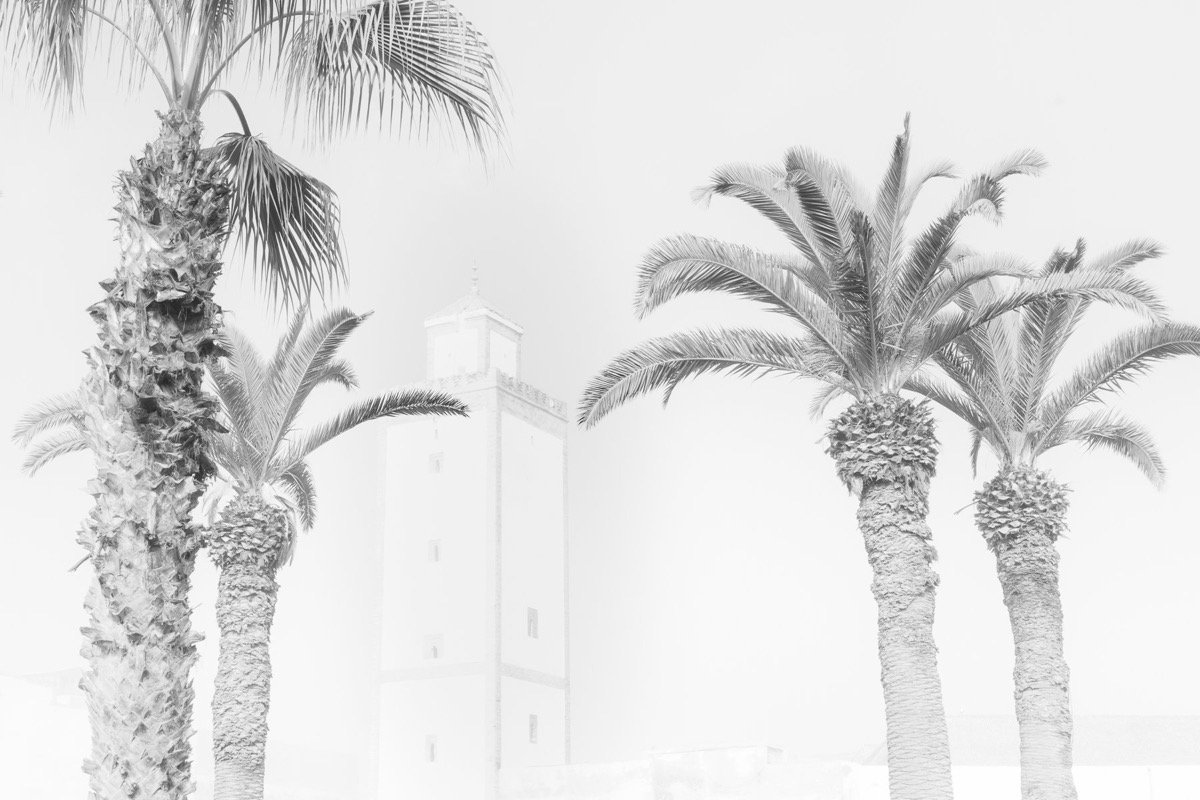 White Shadows — Arts, Stéphane Louesdon — photo 14