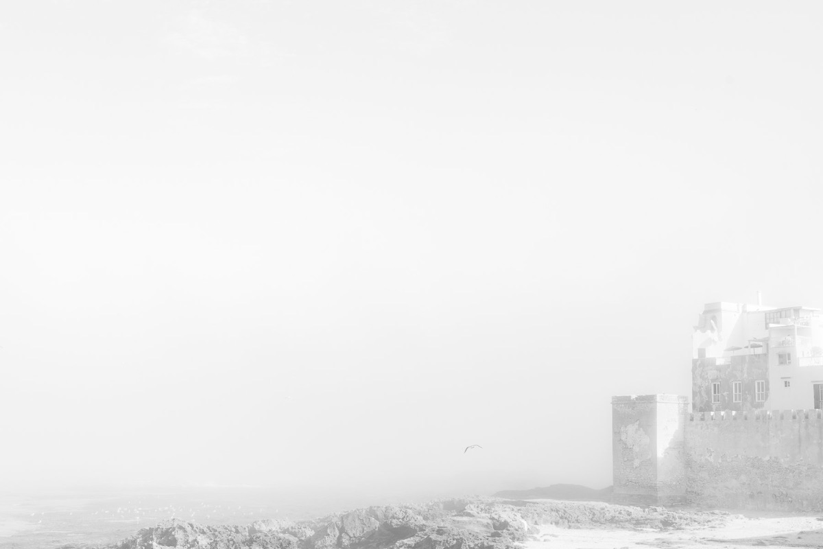 White Shadows — Arts, Stéphane Louesdon — photo 18