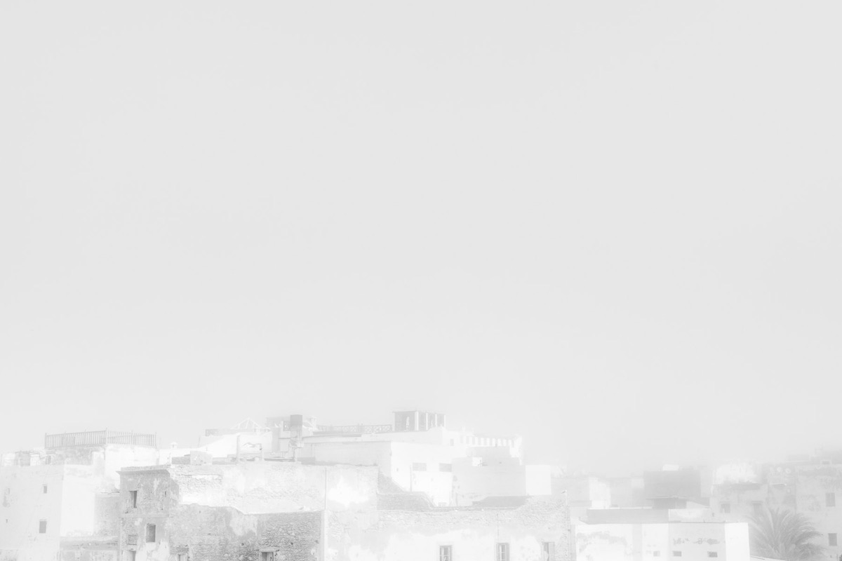 White Shadows — Arts, Stéphane Louesdon — photo 19