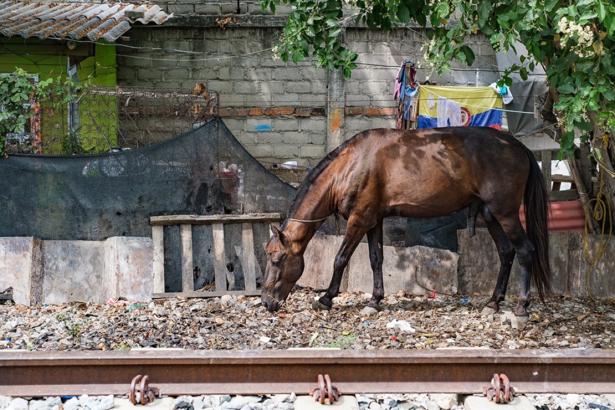 By The Rail — Documentaire, Stéphane Louesdon — photo 10
