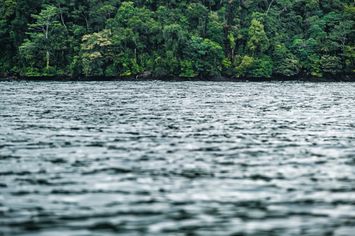 Dark Waters — Documentaire, Stéphane Louesdon — photo 1