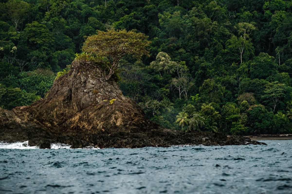 Dark Waters — Documentaire, Stéphane Louesdon — photo 3