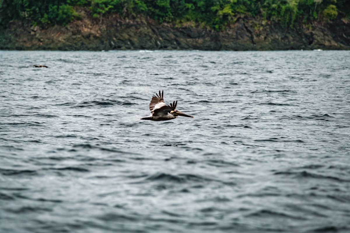 Dark Waters — Documentaire, Stéphane Louesdon — photo 8