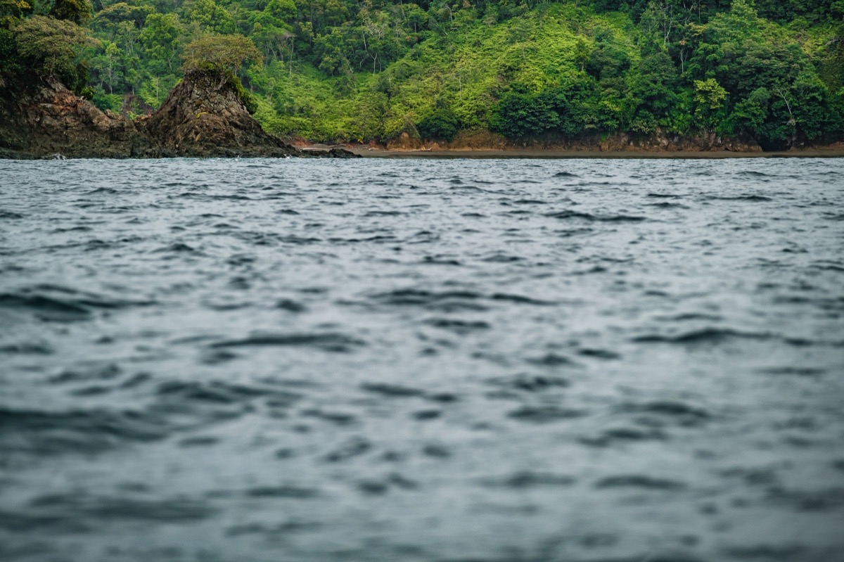 Dark Waters — Documentaire, Stéphane Louesdon — photo 10