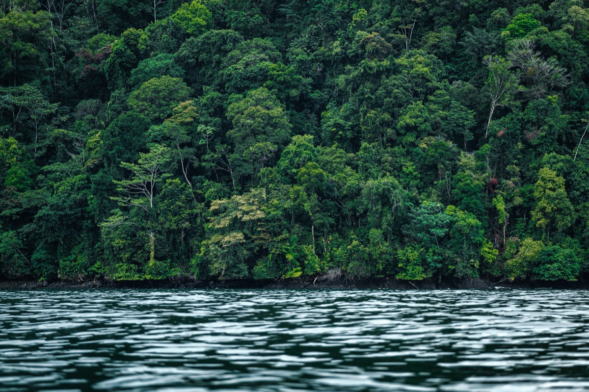 Dark Waters — Documentaire, Stéphane Louesdon — photo 12