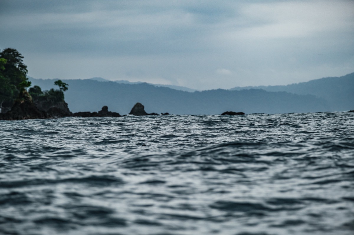 Dark Waters — Documentaire, Stéphane Louesdon — photo 13