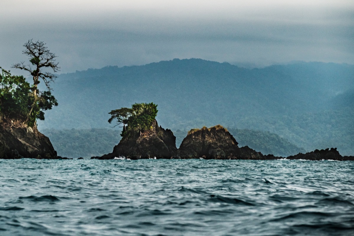 Dark Waters — Documentaire, Stéphane Louesdon — photo 17