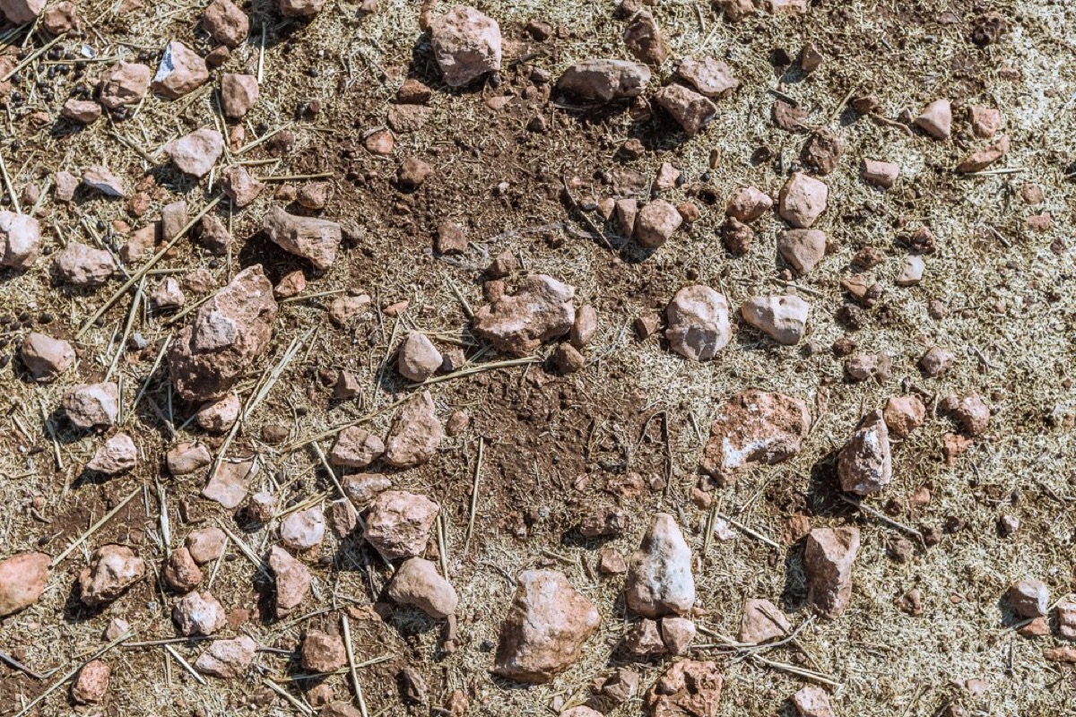 Heart(H) — Documentaire, Stéphane Louesdon — photo 12