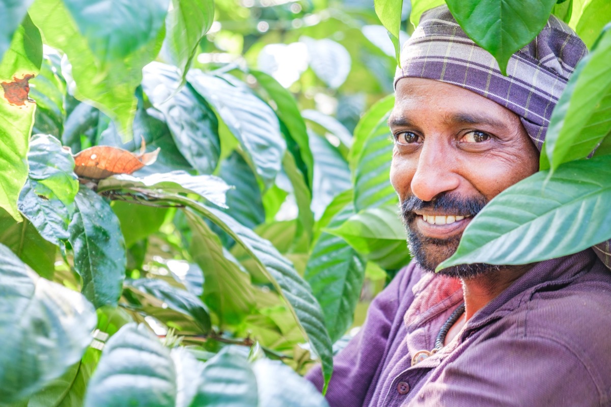 Indian Coffee — Documentaire, Stéphane Louesdon — photo 2