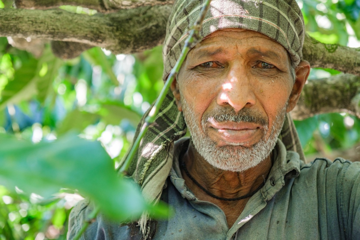 Indian Coffee — Documentaire, Stéphane Louesdon — photo 4