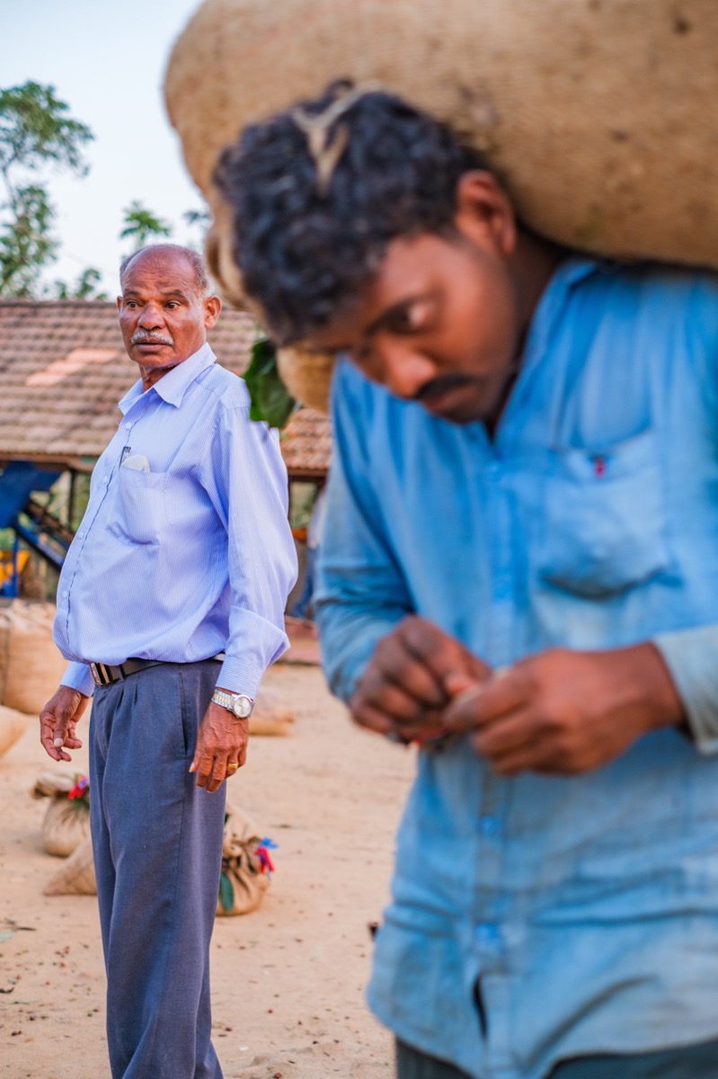 Indian Coffee — Documentaire, Stéphane Louesdon — photo 22