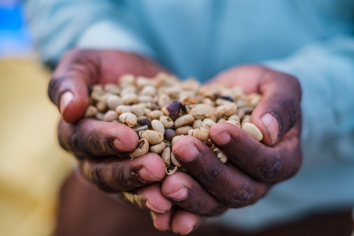 Indian Coffee — Documentaire, Stéphane Louesdon — photo 27